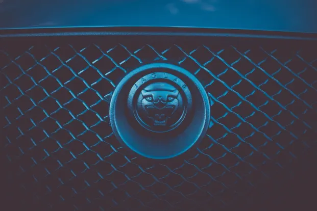 Клеопатра Казино Android/iOS приложение